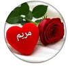 user1085766080139
