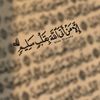 ahmedsobhi1123