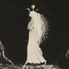 forest.witch222