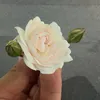 yusufdzn00