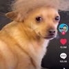 funny_memes900