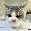 darsike_official