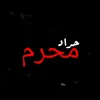 as_1as1
