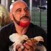 wisechickenman