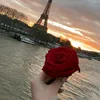 nina2nour