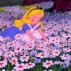 tea_and_movies
