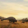 bearrus654
