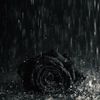 mhere_2823