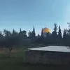 ibrahhiim10