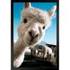 i_love_animals_so_cute