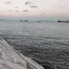 lawihalmat0