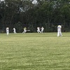 cricket.wj