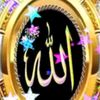 majedaaktar42