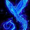 karayel_571