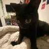 quitecomatose