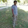 shahiali7866