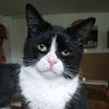 stanleykat115
