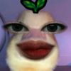 clouddjuu