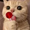 hminhthng