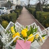 tulip_flowerd