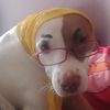 elizray02749t