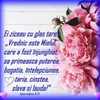 stimerpista