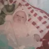 nonquen2