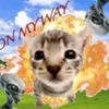 _maow_1