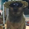 hszgtewbke
