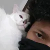 wafiywafry