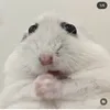 gabrieldecarvalh2
