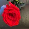 maelys_spams
