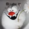 sonaedison