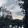 phophut__.46