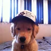 courageousrow