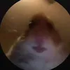 itz_redpanda