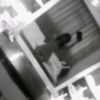 .sha_sha.14