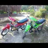 xipo3966