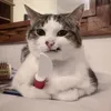 jaahhhh_