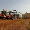agrofilnas