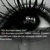 mir_lider
