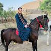 aliabdelrahman21