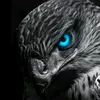 ch_zab