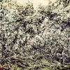 hania_290203