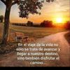 user500352264
