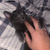 coco.thegoat420