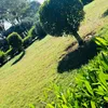 sunqueensunqueen1