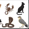 animali360