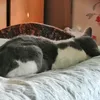 kitkat_and_twigs