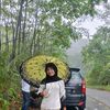 loveseekerze
